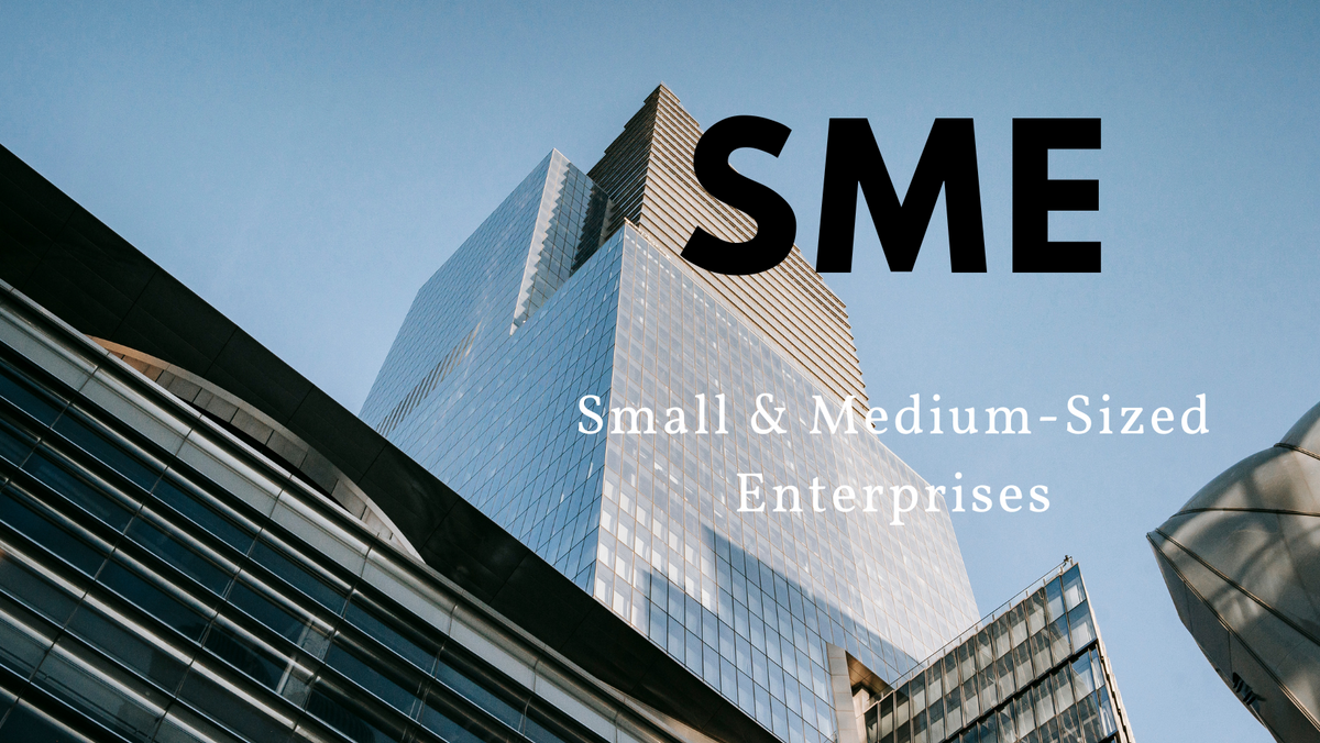Unleashing Potential: Investing in Small and Medium-Sized Enterprises (SMEs)